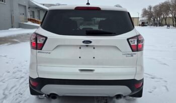 2017 Ford Escape Titanium 4WD full