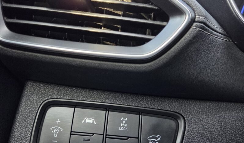 2019 Hyundai Santa Fe SEL Luxury AWD full